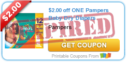 $2.00 off ONE Pampers Baby Dry Diapers